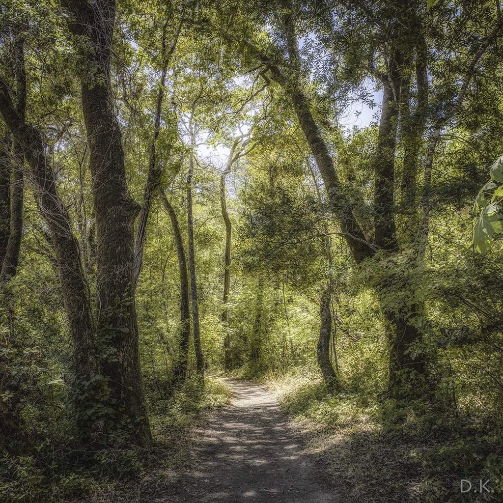 Connecting with nature